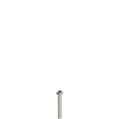 Pizzato VF VAM4X30BX-X Stainless steel security screws