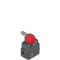 Pizzato FX 596-M2 Safety switch for hinged doors