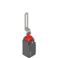 Pizzato FR 5C2-M2 Safety switch with slotted hole lever