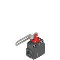 Pizzato FX 5C3-M2 Safety switch with slotted hole lever