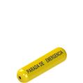 Pizzato VF AF-IF1GR06 Function indicator - text 