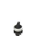 Pizzato E2 1SE12ACA19AB Short handle selector, 2 positions black with marking