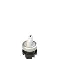 Pizzato E2 1SE12ACA29AB Short handle selector, 2 positions white with marking
