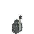 Pizzato FX 555-M2 Position switch with adjustable lever and roller