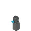 Pizzato FR 638-W3M2 Position switch for rotating levers with reset device