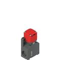 Pizzato FW 3392-M2 Safety switch with separate actuator