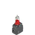 Pizzato FX 38B1-D30M2 Protected door switches with positive opening