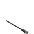Pizzato VF CA8PD10M M12 female wired connector: straight, 8 poles, 10 m cable