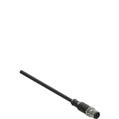 Pizzato VF CF8PD3M M12 male connectors with cable, 8 poles