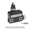 Azbil SL1-DKFXG2 Compact Horizontal Limit Switch