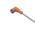 IFM ADOAH050SCS0005T05 Connecting cable with socket