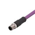 IFM ASTGH020MSS0002C02 Connecting cable with plug