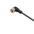 IFM ADOAH043MSS0015H04 Connecting cable with socket