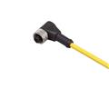 IFM ADOAA030MSS0010E03 Connecting cable with socket