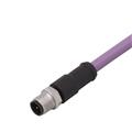 IFM ASTGH050MSA0003H02 Connecting cable with plug