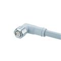 IFM ADOAE050VAS0002P05 Connecting cable with socket