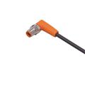 IFM ASTAF040MSS0002H04 Connecting cable with plug
