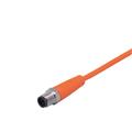 IFM ASTGH040VAS0025E04 Connecting cable with plug
