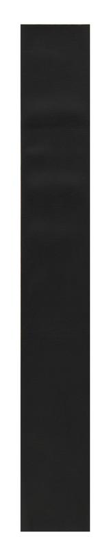Leuze OTB 40-BK250 Folyo Turkiye