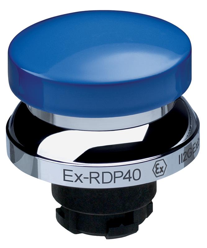 Schmersal EX-RDP40BL Turkiye