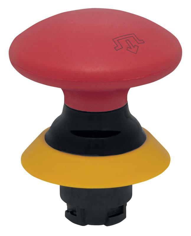 Schmersal NDRZ50GR/RT-2905-1 Turkiye
