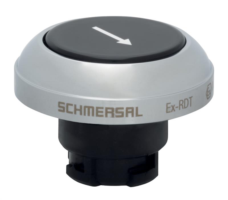 Schmersal EX-RDTSW/101D Turkiye