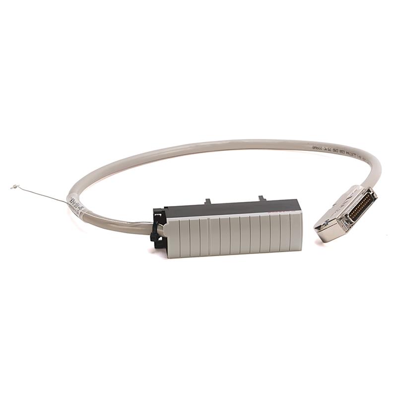 Allen Bradley 1492-ACABLE060YF Connection Products Turkiye