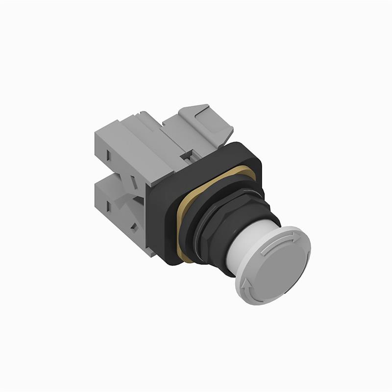 Allen Bradley 800H-FRXTQH2WAY 30mm Push-Pull Device 800H PB Turkiye
