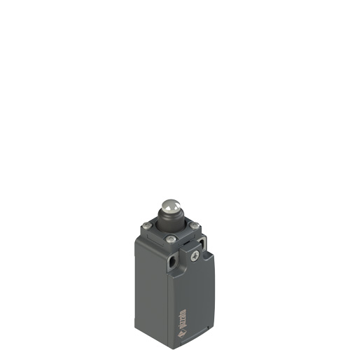 Pizzato FR 508-M2 Position switch with piston plunger Turkiye