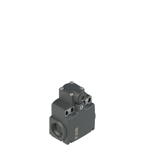 Pizzato FX 538-M2 Position switch for rotating levers Turkiye