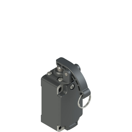 Pizzato FP 509-M2 Position switch with rope for signalling Turkiye