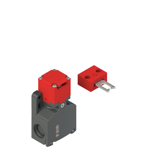 Pizzato FW 592-D2M2 Safety switch with separate actuator Turkiye