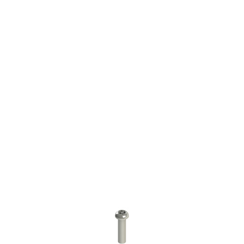 Pizzato VF VAM4X15BX-X Stainless steel security screws Turkiye