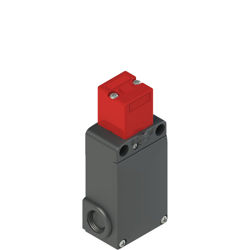 Pizzato FS 1896D024-M2 FS series safety switch with separate actuator with lock Turkiye