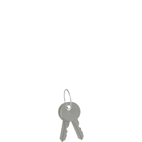 Pizzato VF KLA371 Unlocking key pair Turkiye