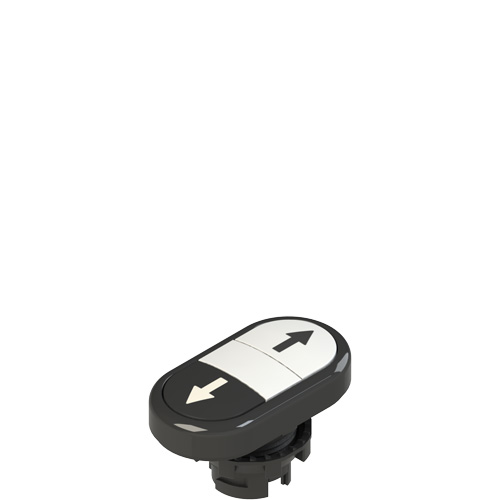 Pizzato E2 1PDRL1AABN Double lower flush pushbutton, with marking Turkiye