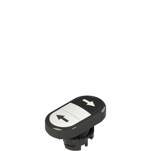 Pizzato E2 1PDRL1AABS Double lower flush pushbutton, with marking Turkiye