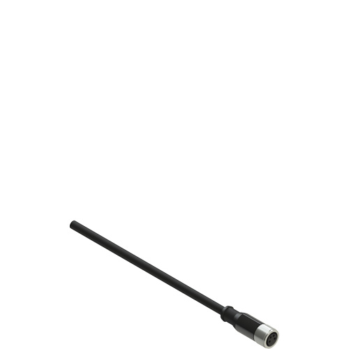 Pizzato VF CA4PD5K M8 female wired connector: straight, 4 poles, 5 m cable Turkiye