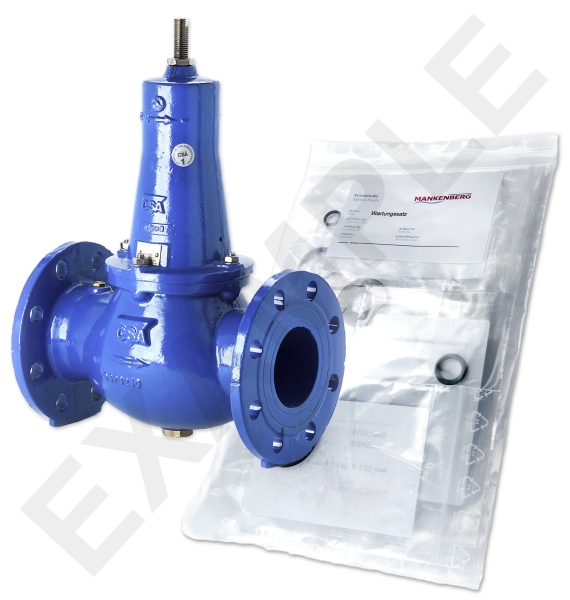 Mankenberg 6644131A WS Maintenance Kit for VRCD (DM 644) | DN 80 (3