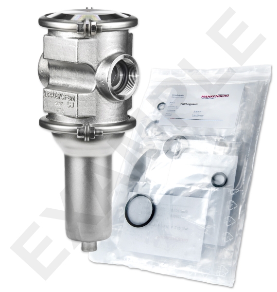 Mankenberg 6655103TA-21 WS Maintenance Kit for DM 555 | DN 25 (1“) | Art No 6655103TA-21 Turkiye