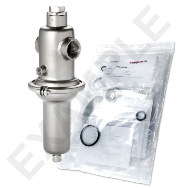 Mankenberg 6573087TA-E WS Maintenance Kit for DM 652 | DN 50 (2“) | Art No 6573087TA-E Turkiye