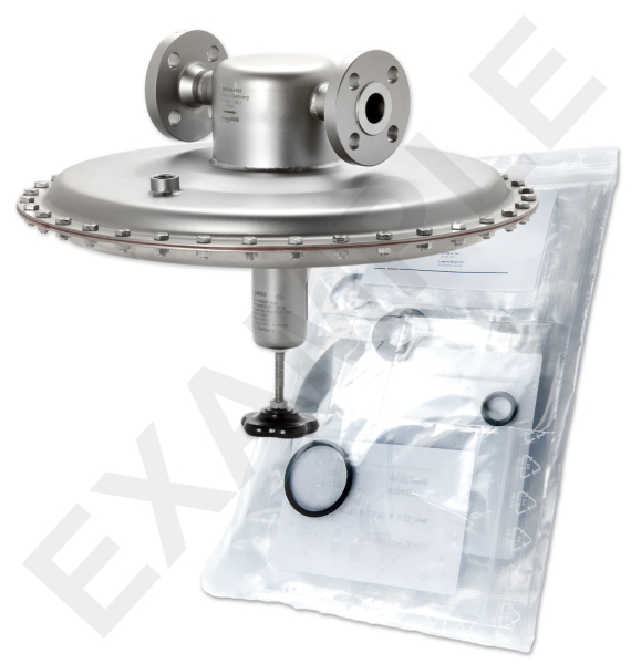 Mankenberg 6630165TA-1   WS Maintenance Kit WS/DM762-15-FA04-16-D035-2,2-V1-ES-E87 | Turkiye
