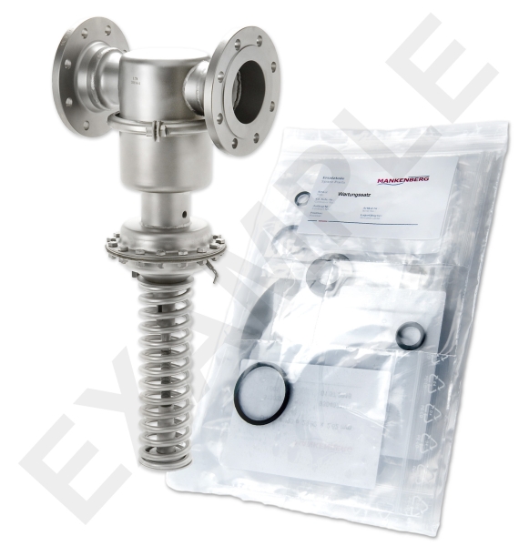 Mankenberg 6590201TA-13  WS Maintenance Kit WS/DM664  100    * 16TX 50E  -5EV | Turkiye