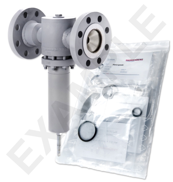 Mankenberg 6621403SA-1   WS Maintenance Kit WS/DM620-80-FA07-160-D083-10-ST-YE-E29-E71 | Turkiye