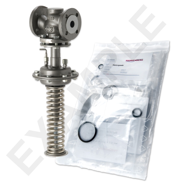 Mankenberg 65521586A-1   WS Maintenance Kit WS/DM613-25-FA13-40-D048-6-CS-FF-E80 | Turkiye