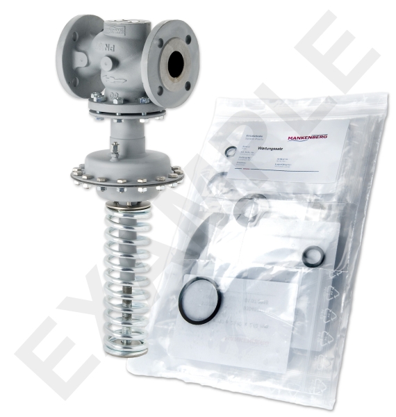 Mankenberg 65424509A     WS Maintenance Kit WS/DM604   25    * 40ST  6E0,25YS | Turkiye