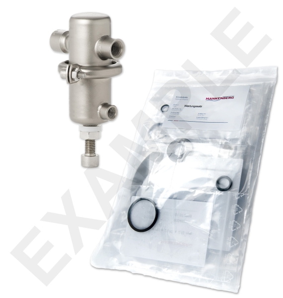 Mankenberg 6499610TA-FM  WS Maintenance Kit WS/DM506      1/4*315  ,15F-1,5FV | Turkiye