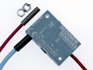 Rechner Sensors KAS-80-M5/20-S-M5-PTFE/VAb-Z02-1-EBC Capacitive Sensors (KAS) Turkiye