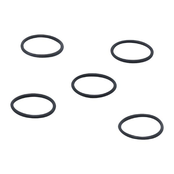 IFM O-RG 24,00X2,00/FPM 5 PIECE O-Ring Turkiye