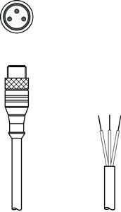 Leuze KS U-M8-3A-P1-100 Bağlantı kablosu
